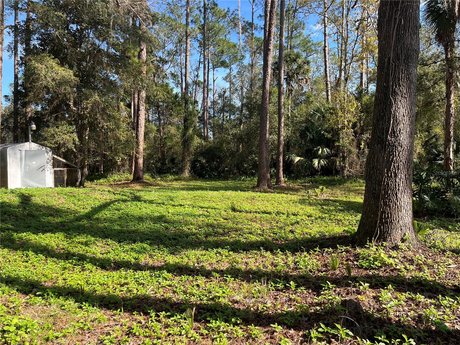 CHRISTMAS PARK FIRST ADD - Residential