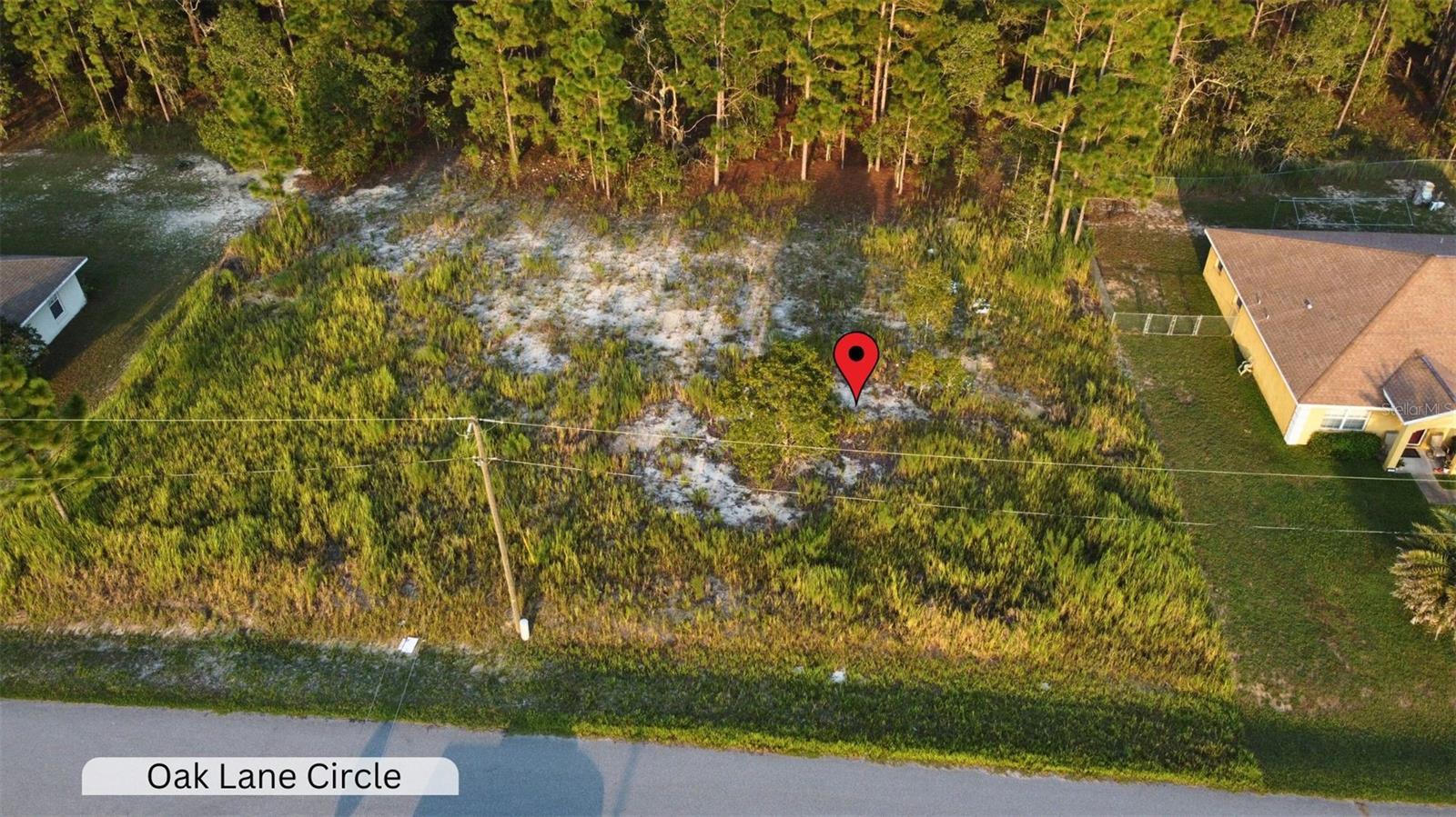 SILVER SPRINGS SHORES - Land