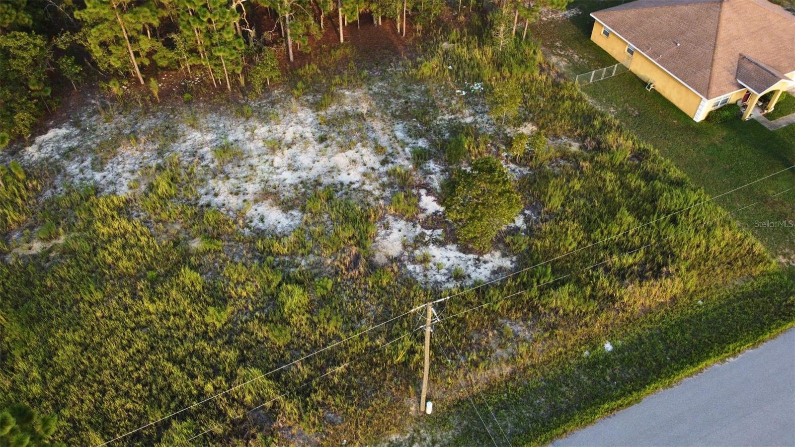 SILVER SPRINGS SHORES - Land