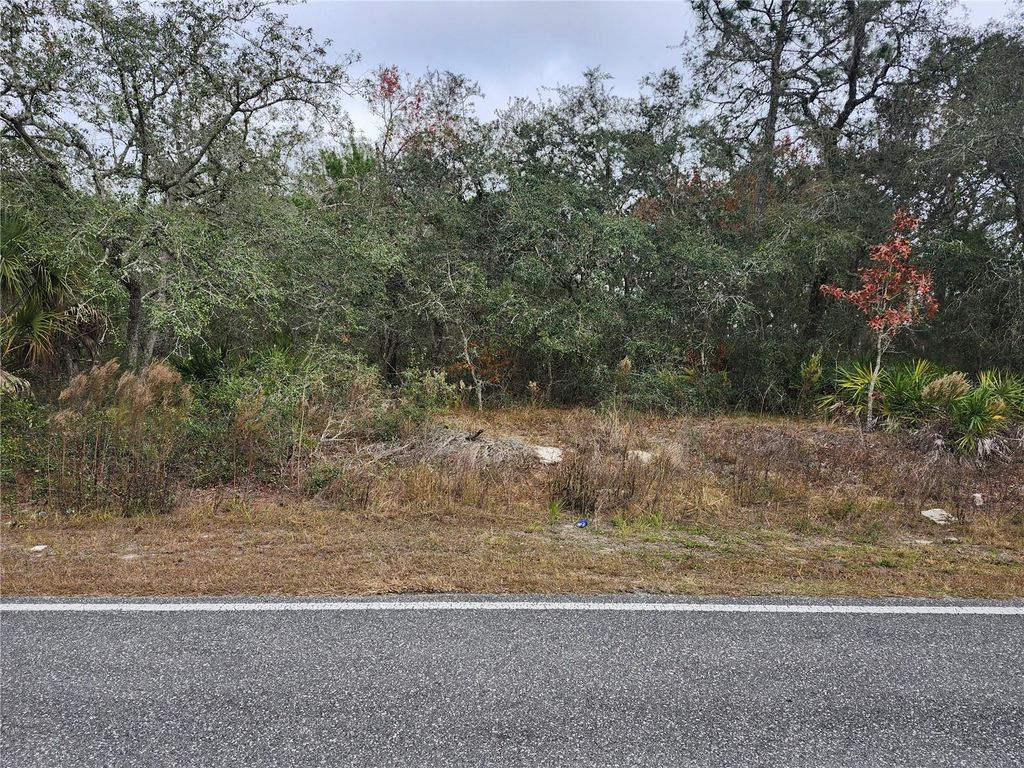 Photo of 10548 Noddy Tern Road, Weeki Wachee, FL 34613 (MLS # W7884653)