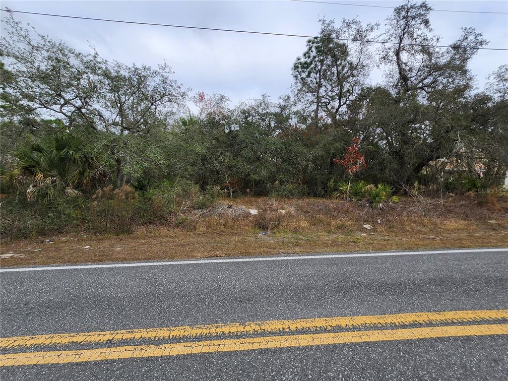 Photo of 10548 Noddy Tern Road, Weeki Wachee, FL 34613 (MLS # W7884653)