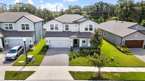 A home in LAND O LAKES