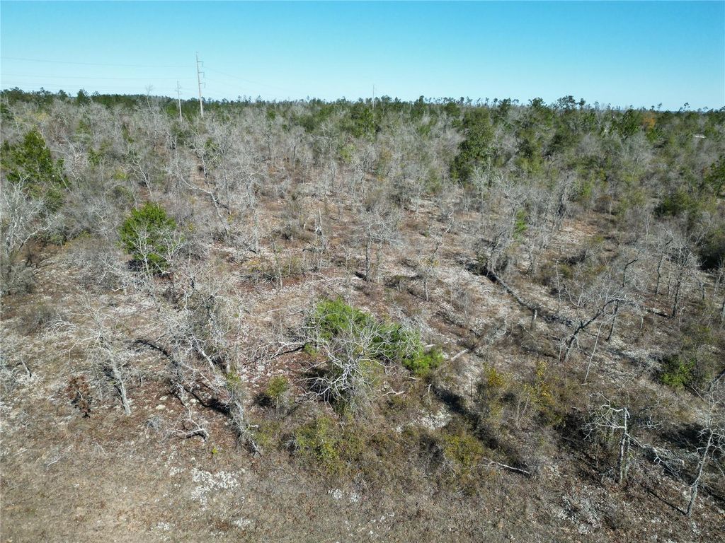 Photo of Channel Drive, Alford, FL 32420 (MLS # GC537782)