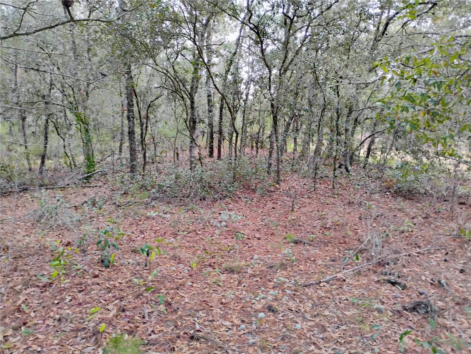 INTERLACHEN LAKES ESTATES - Land