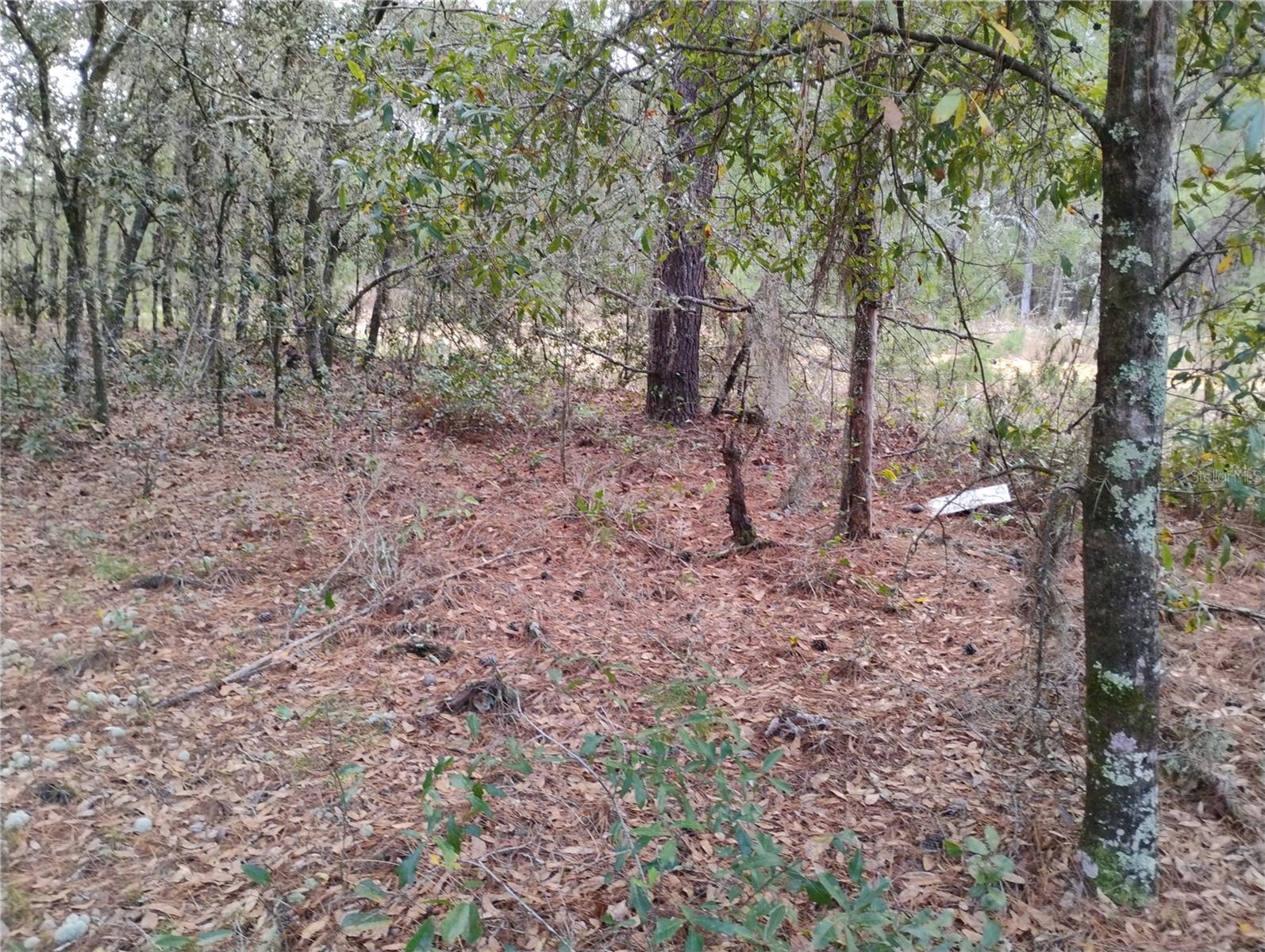 INTERLACHEN LAKES ESTATES - Land