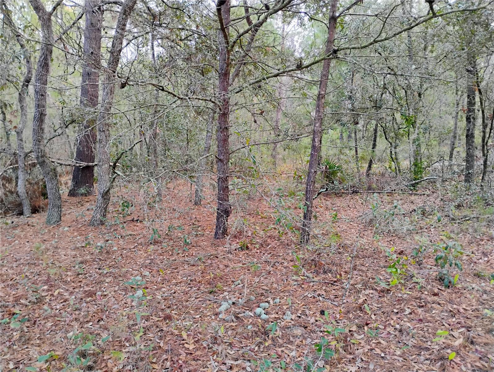 INTERLACHEN LAKES ESTATES - Land