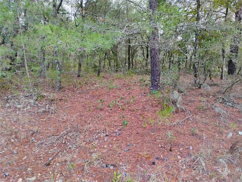 302 KENNEDY AVENUE INTERLACHEN FL 32148