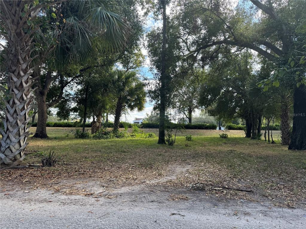 Photo of W Magnolia Street, Lakeland, FL 33815 (MLS # P4933411)