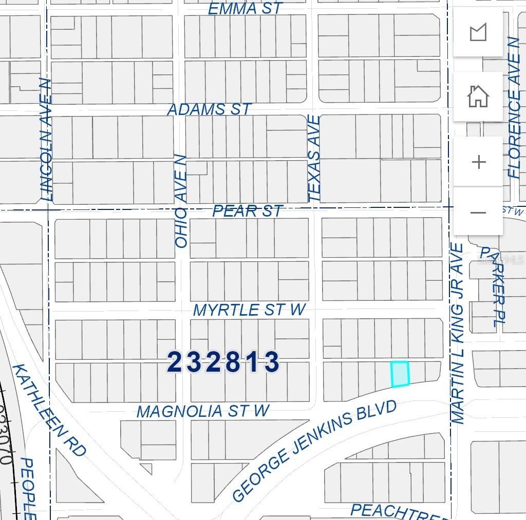 Photo of W Magnolia Street, Lakeland, FL 33815 (MLS # P4933411)