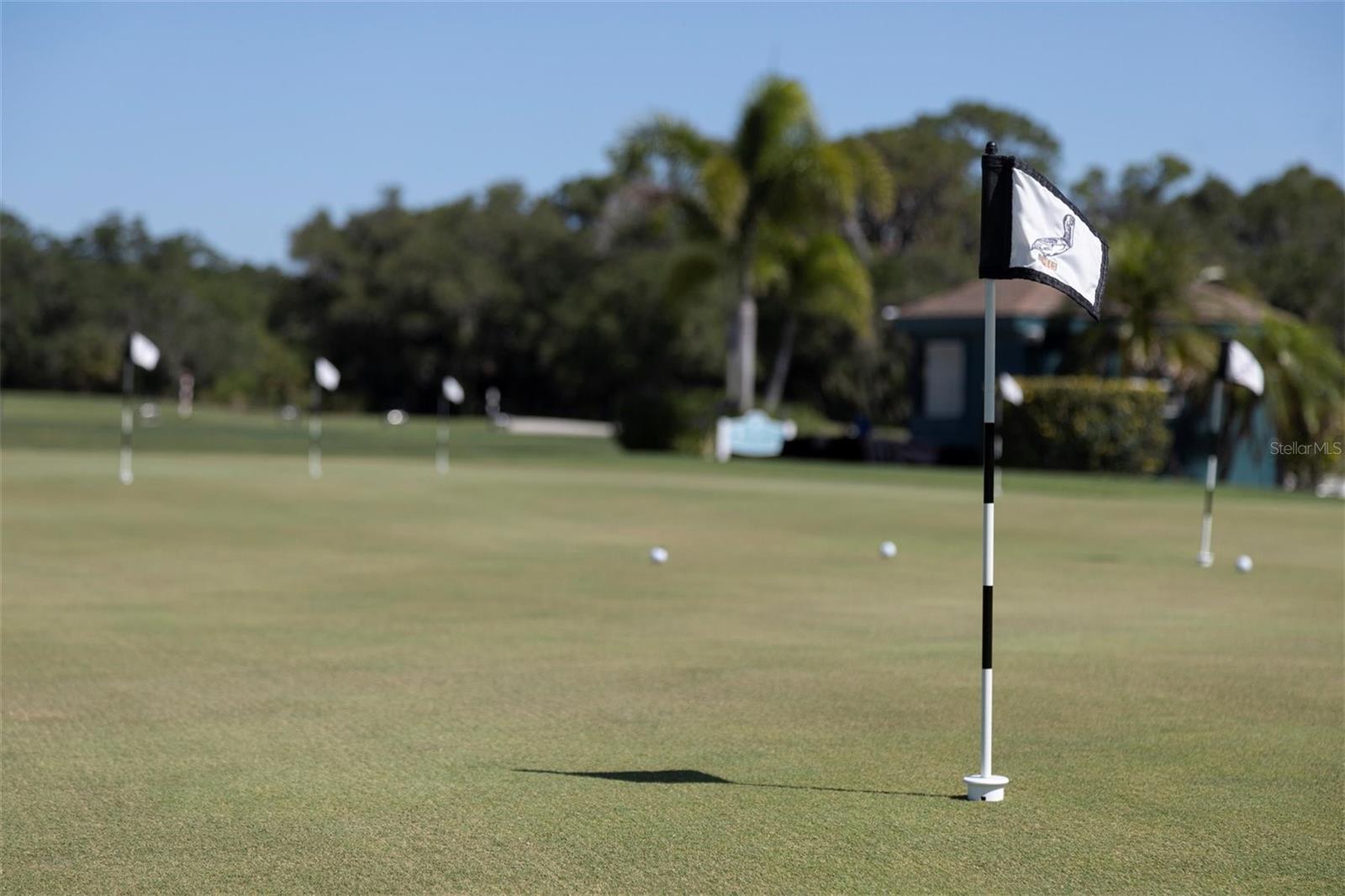 PELICAN POINTE GOLF & COUNTRY CLUB - Residential