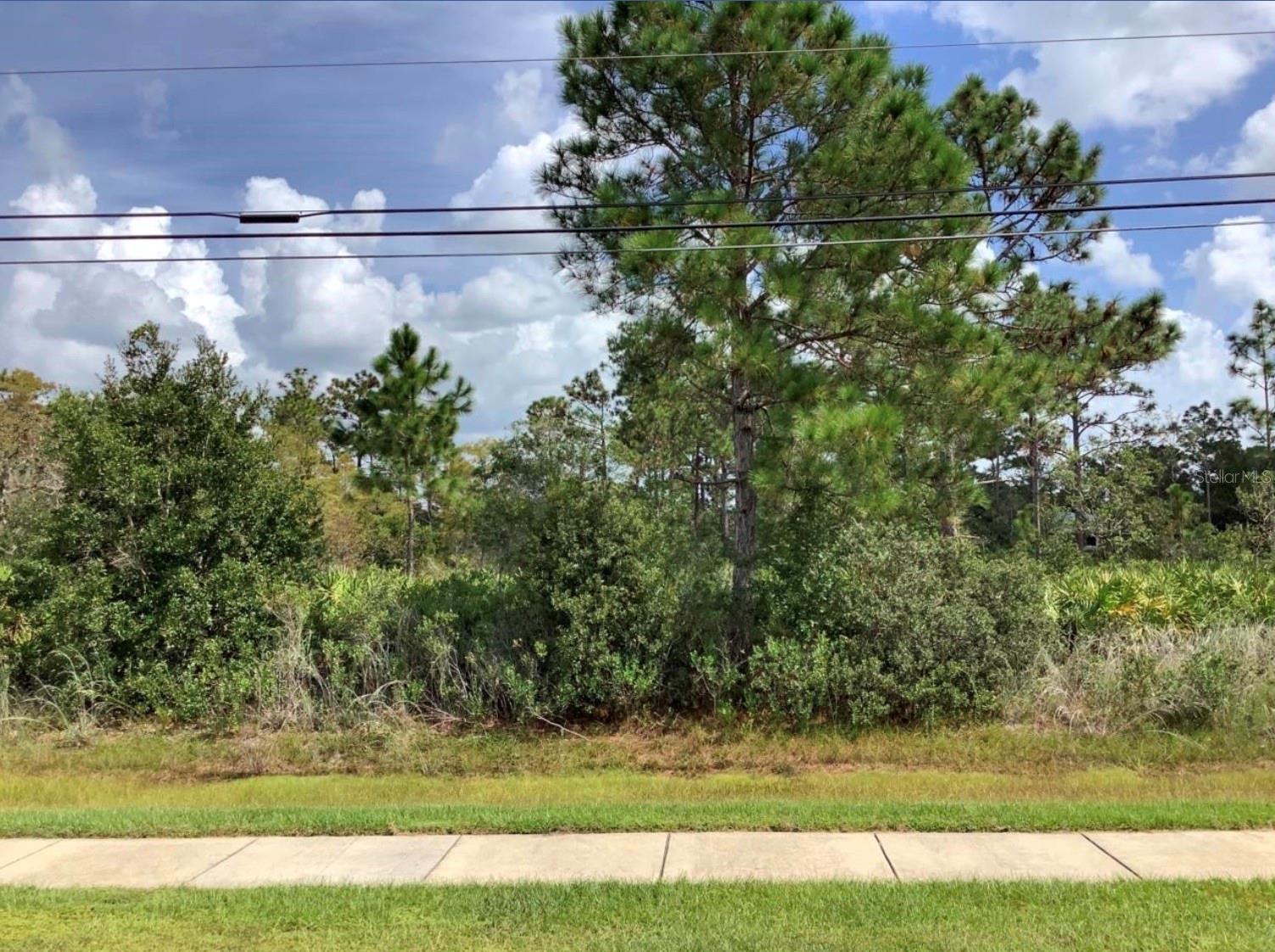 Build your dream home on this exceptional vacant lot in Wedgefield Cape Orlando Estates, one of East Orlando’s most sought-after communities! This expansive lot offers the perfect blend of privacy and natural beauty, nestled among custom-built homes and surrounded by serene Florida landscape. Enjoy the peace and space of country living with convenient access to major highways, the Orlando International Airport, Lake Nona Medical City, UCF, and the Space Coast beaches. Whether you’re looking to build now or invest for the future; this is an outstanding opportunity in a rapidly growing area. Don’t miss your chance to own a piece of paradise in Wedgefield!