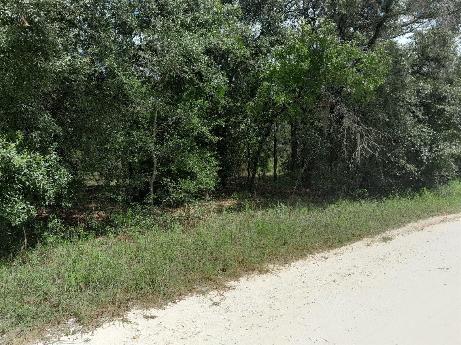 PEACEFUL AND SERENE 1.25 ACRES IN WILLISTON HIGHLANDS. This residential lot offers the perfect blend of privacy and community charm. You'll enjoy the convenience of modern amenities while embracing the tranquility of country living. Parcel measures about 165' on the road and 330' deep. With Bronson only 8 minutes away and Williston 5 you will have easy access to both small-town conveniences and natural beauty. Whether you're envisioning a serene retreat or a spacious family home, this lot provides the ideal canvas to bring your dream home to life. Experience the best of both worlds seclusion without isolation. This could be the property you've been searching for to build on or place a manufactured home. It is zoned Agricultural/Rural Residential so have a garden and grow your own fresh vegetables, have chickens, goats or just enjoy country living. Call today to get your piece of the pie!
