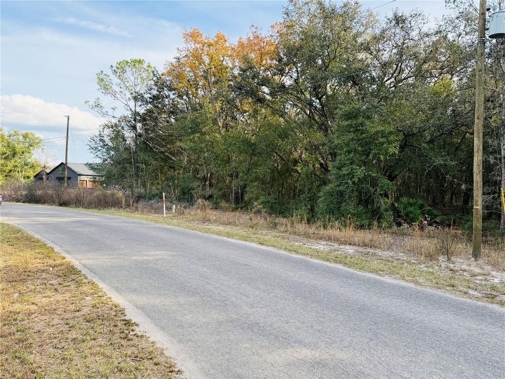 Photo of 17 Guava Pass, Ocklawaha, FL 32179 (MLS # OM716234)