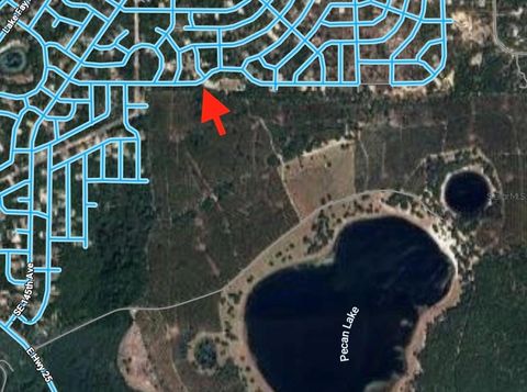 Lot#17 GUAVA PASS OCKLAWAHA FL 32179