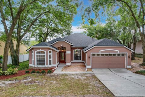 A home in APOPKA