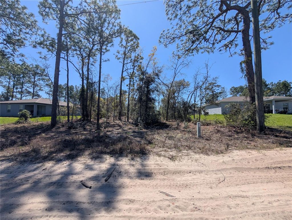 Photo of 3553 W Wilhelm Street, Citrus Springs, FL 34433 (MLS # W7884194)