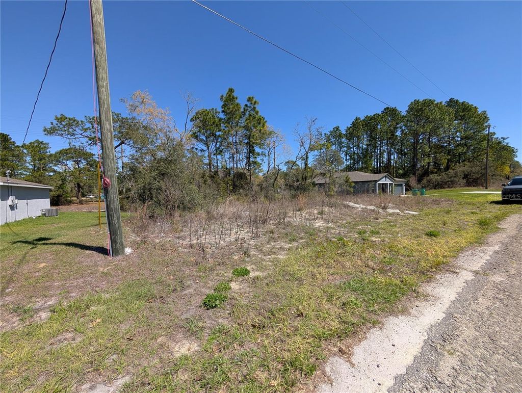 Photo of 3553 W Wilhelm Street, Citrus Springs, FL 34433 (MLS # W7884194)