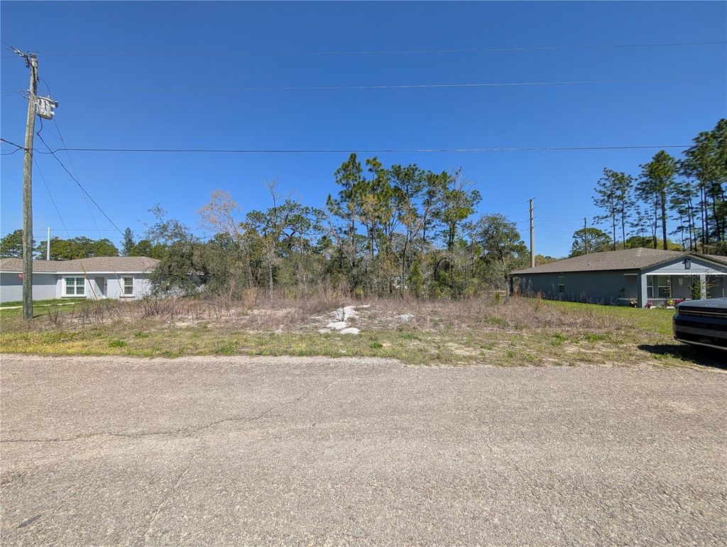 Photo of 3553 W Wilhelm Street, Citrus Springs, FL 34433 (MLS # W7884194)