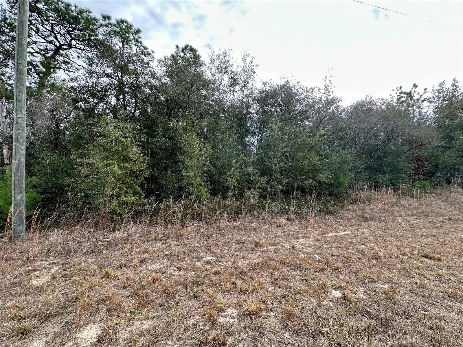 CITRUS SPGS UNIT 11 - Land