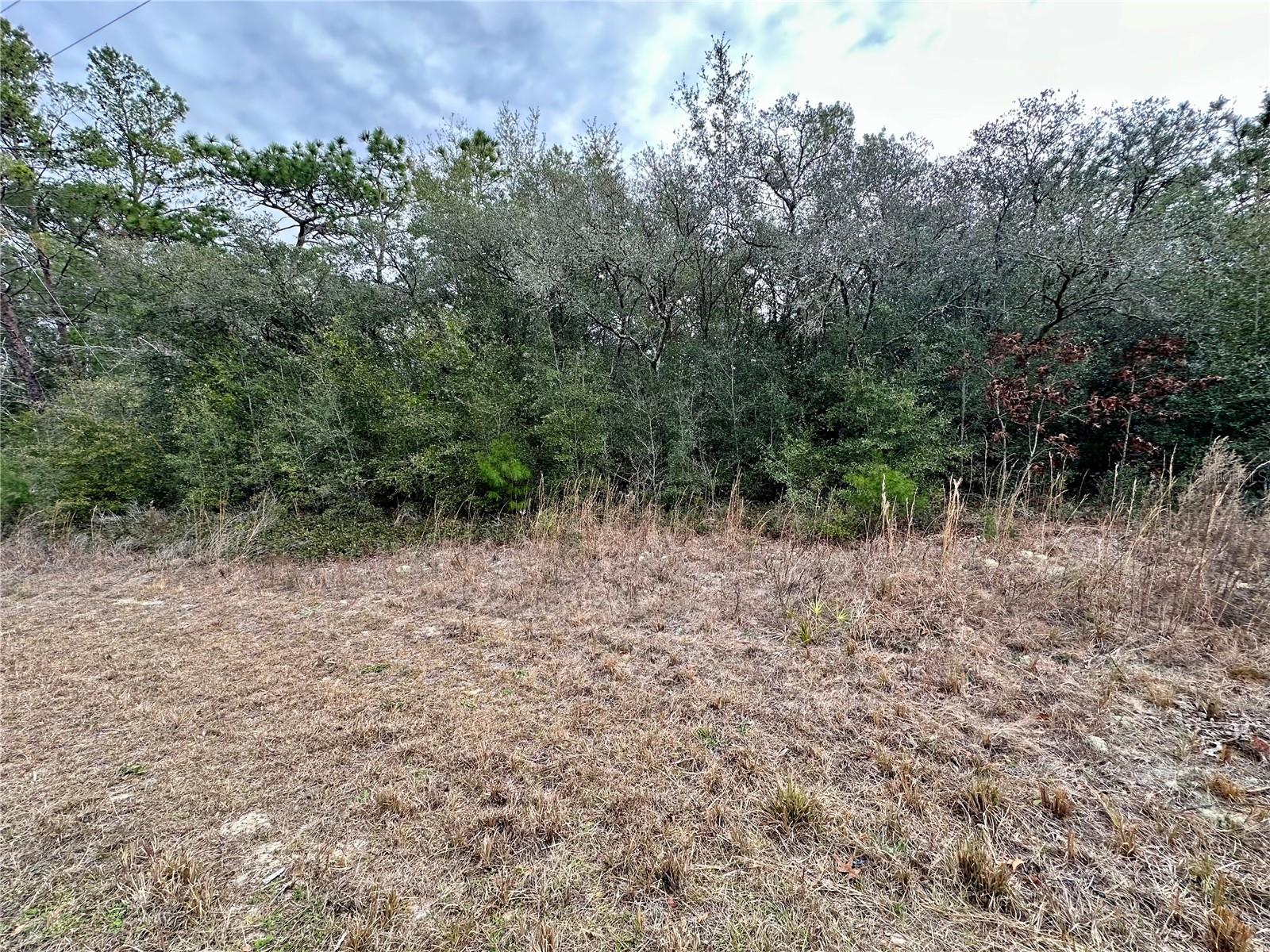 CITRUS SPGS UNIT 11 - Land