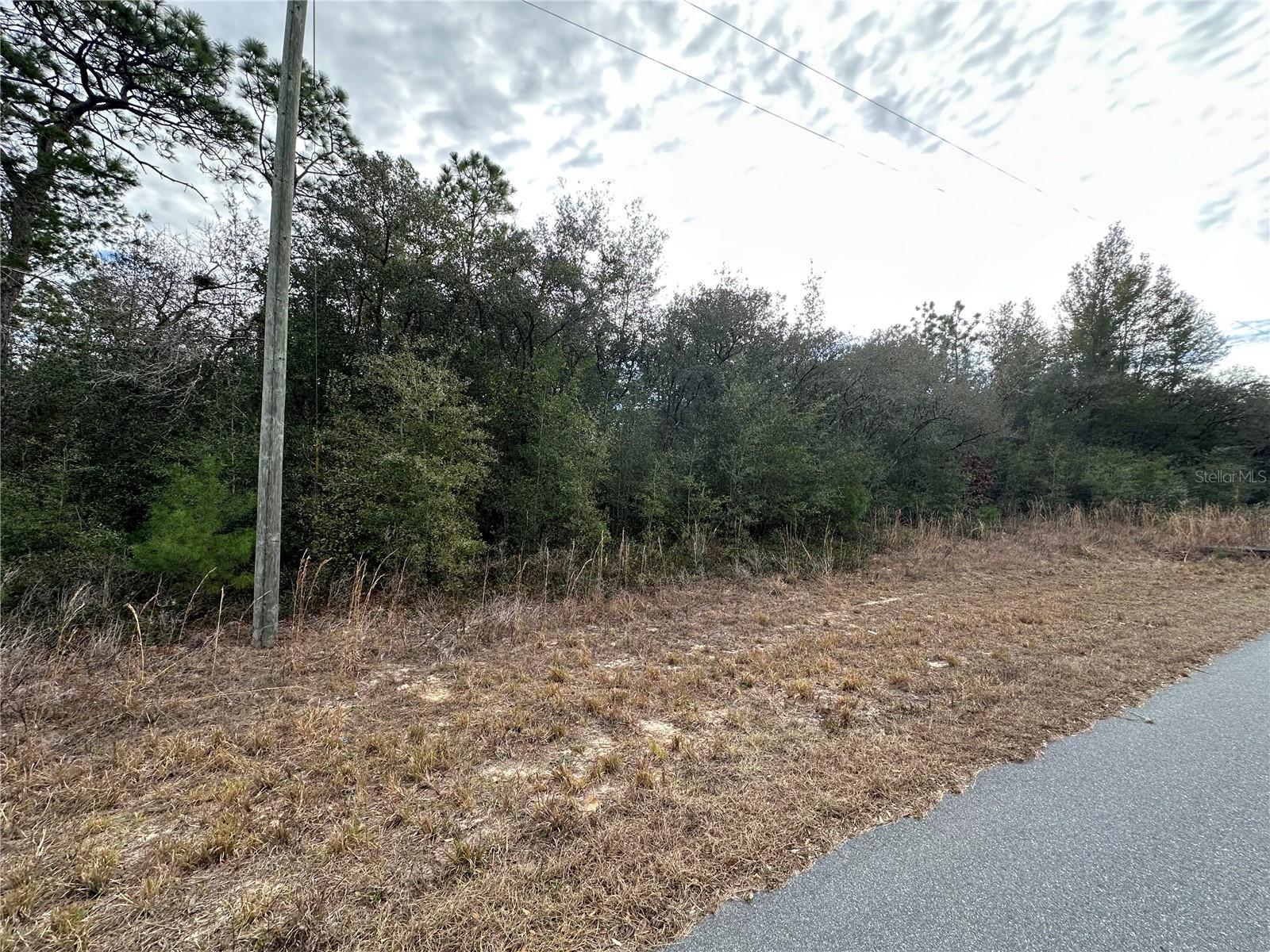 CITRUS SPGS UNIT 11 - Land