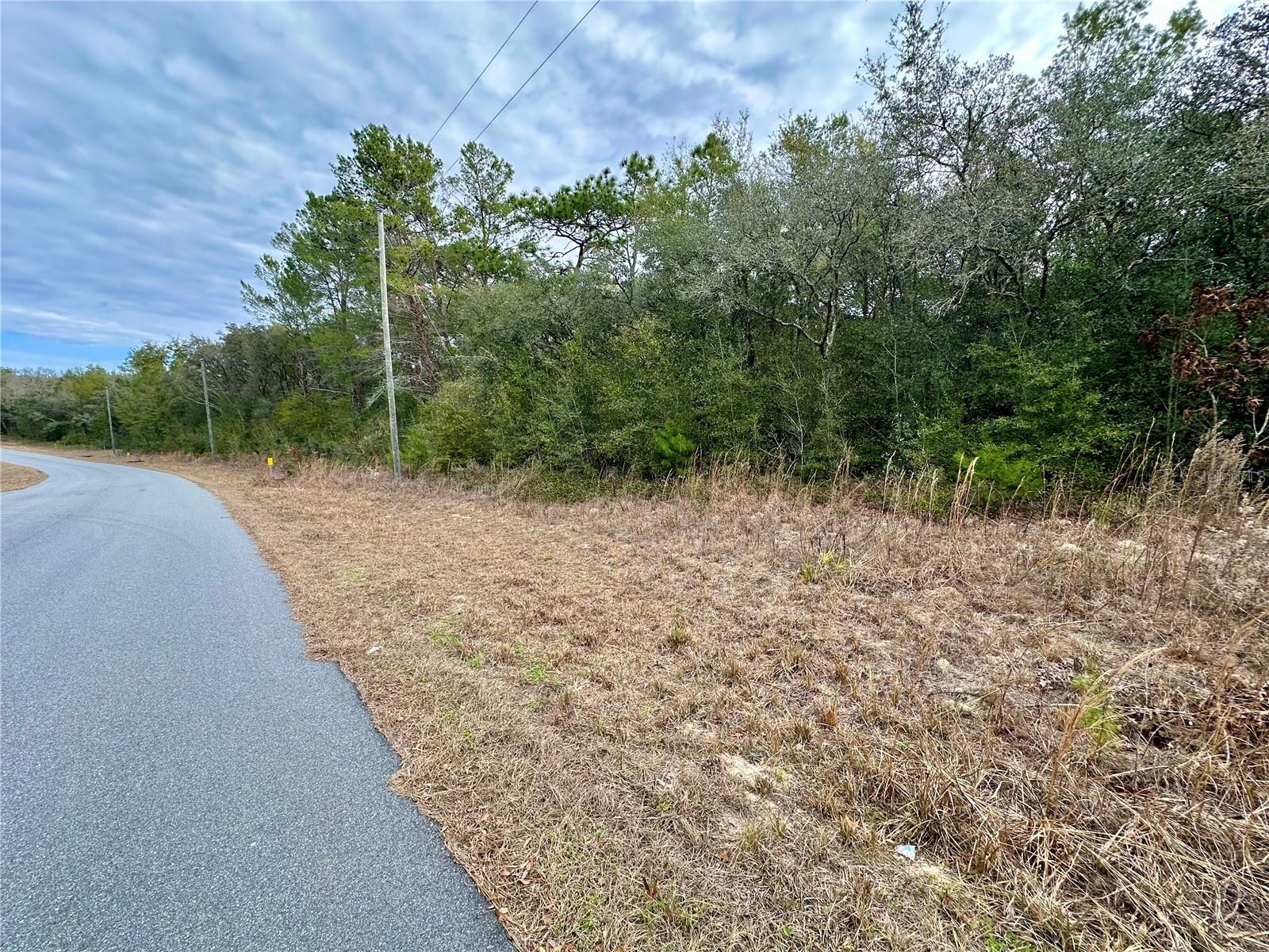 CITRUS SPGS UNIT 11 - Land