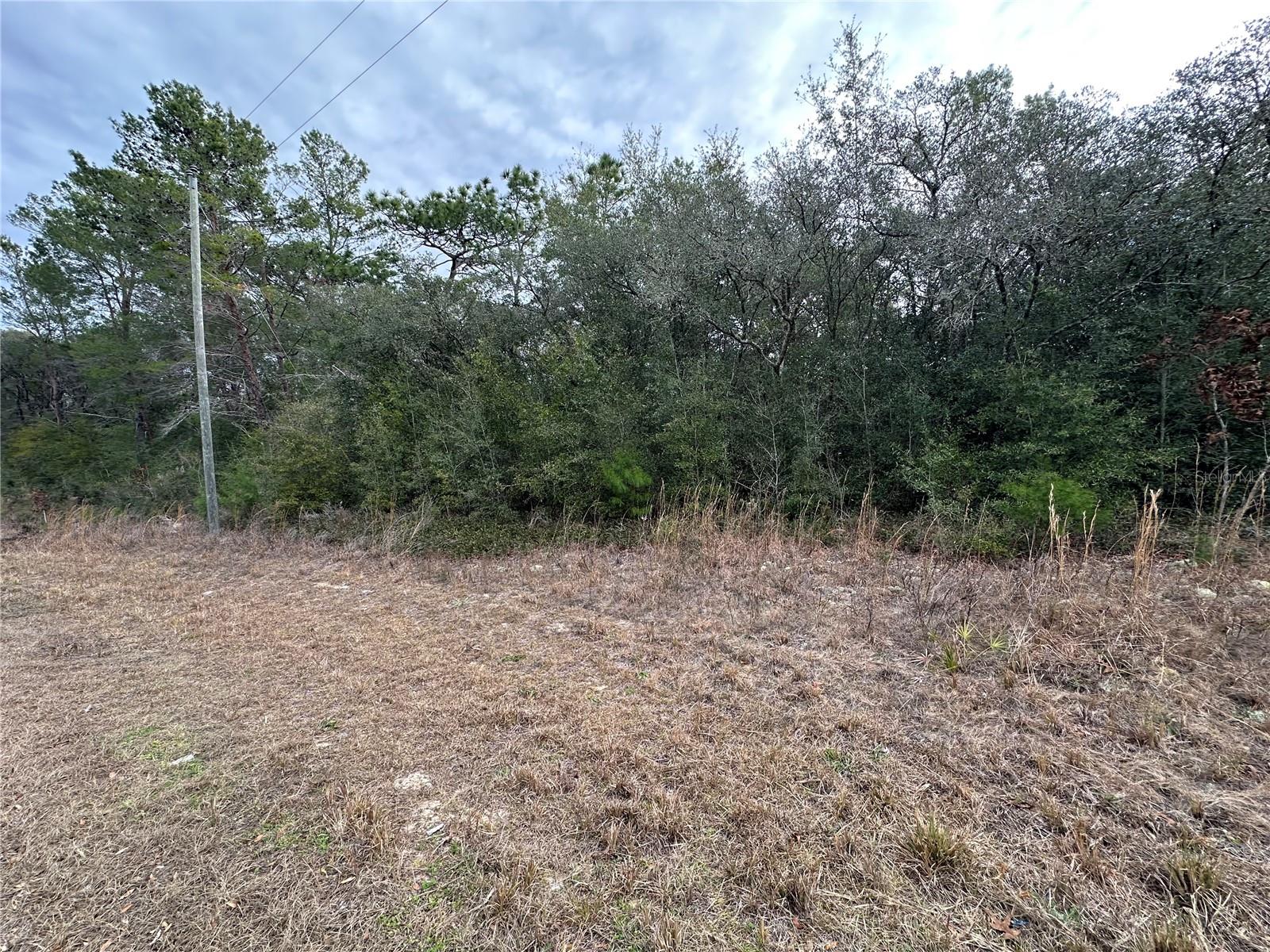 CITRUS SPGS UNIT 11 - Land