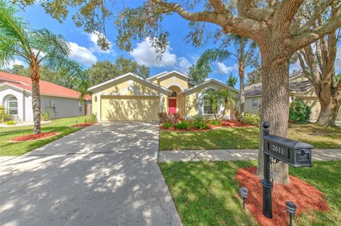 A home in VALRICO