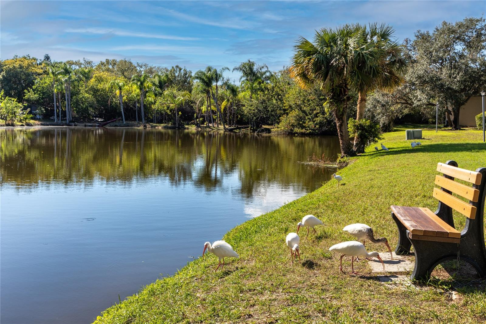 WOODSIDE VILLAGE CONDO - Residential