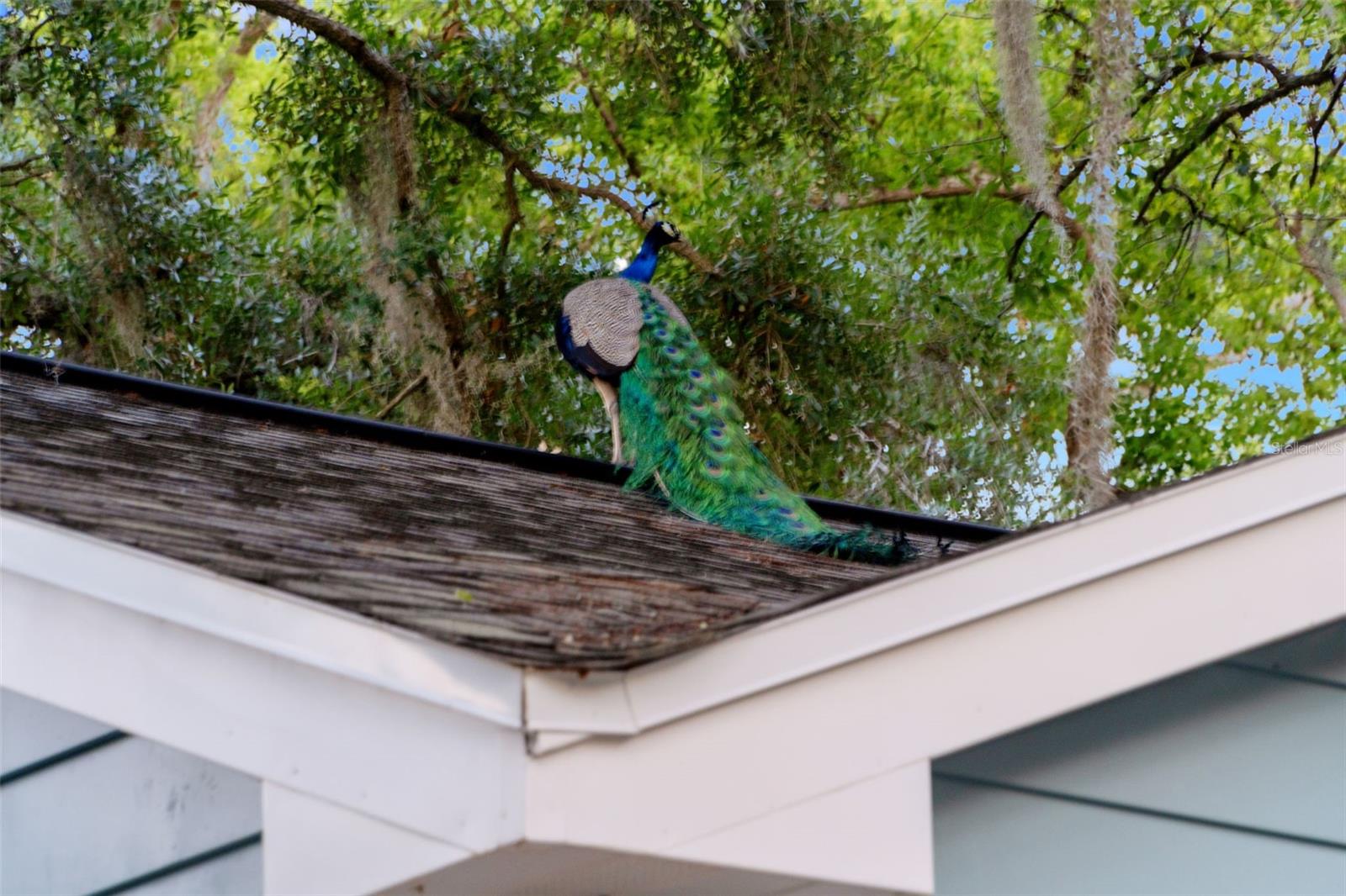 RIVERBEND SUB - Residential