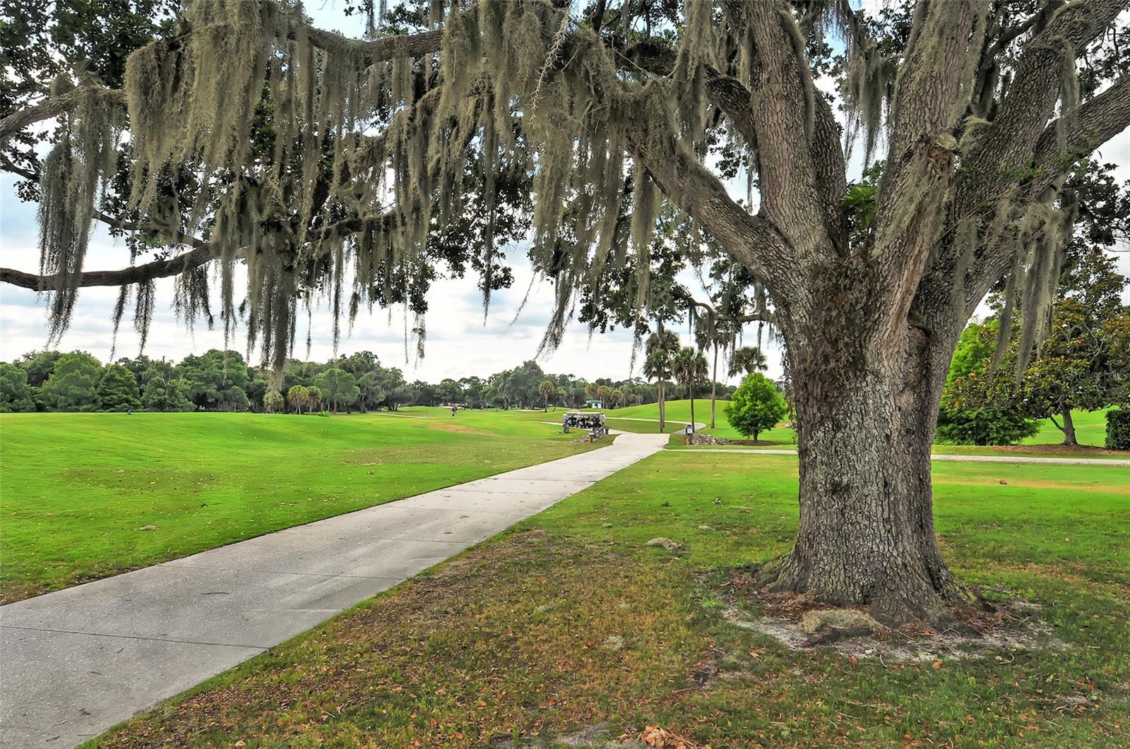 THE HAMMOCKS III - Residential
