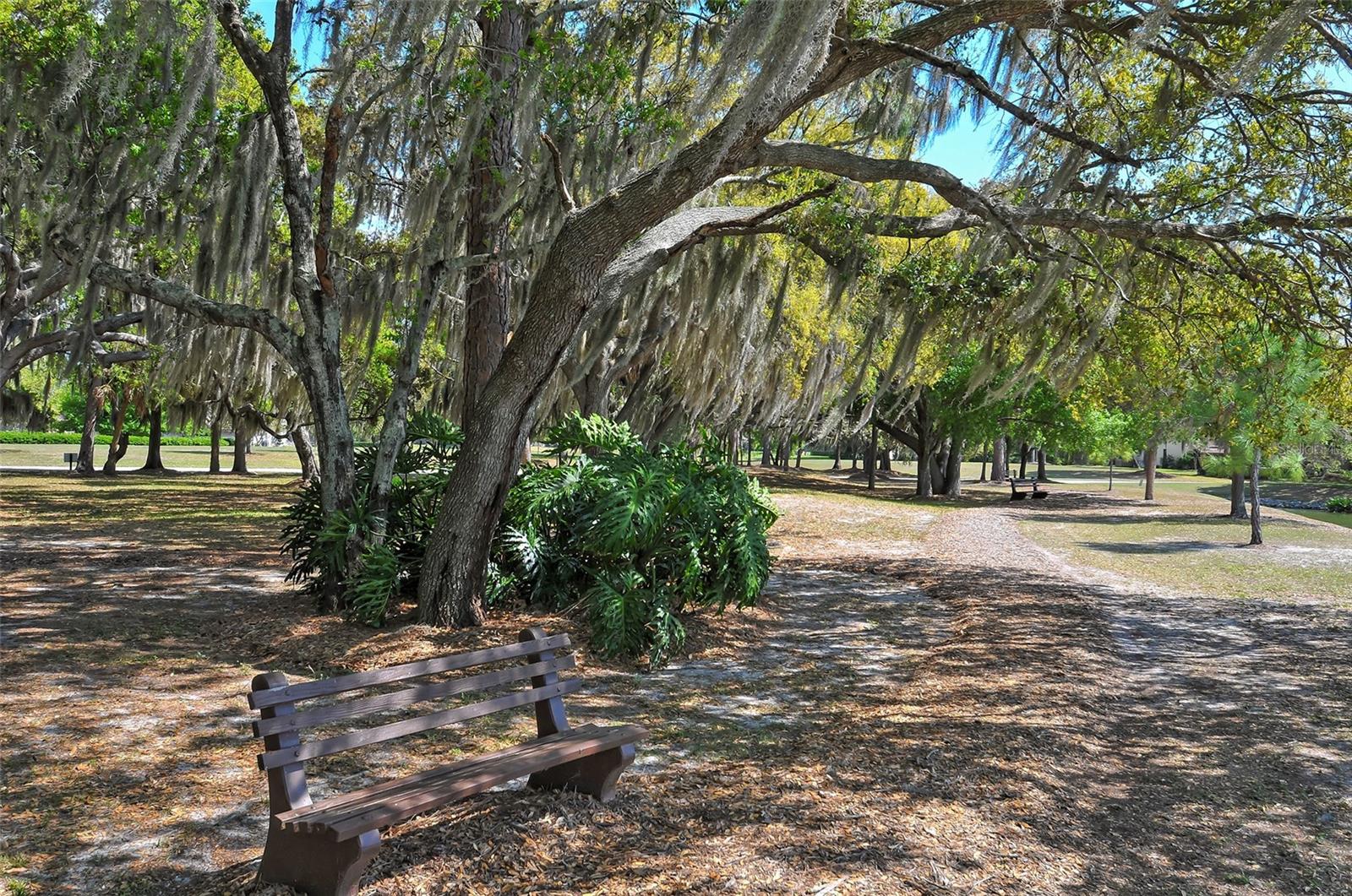 THE HAMMOCKS III - Residential