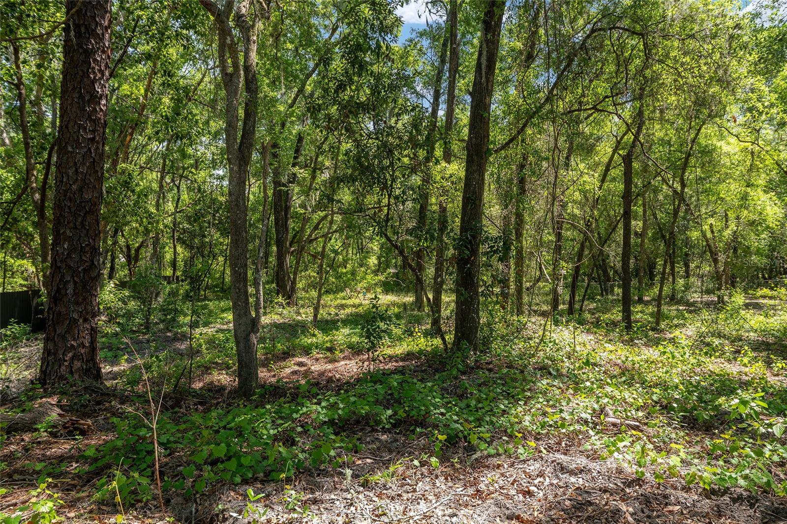 RAINBOW ACRES SUB - Residential