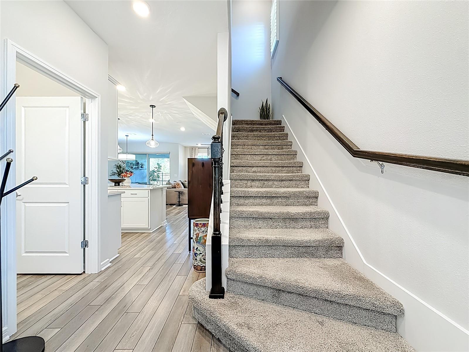 SHORELINE REP - Residential