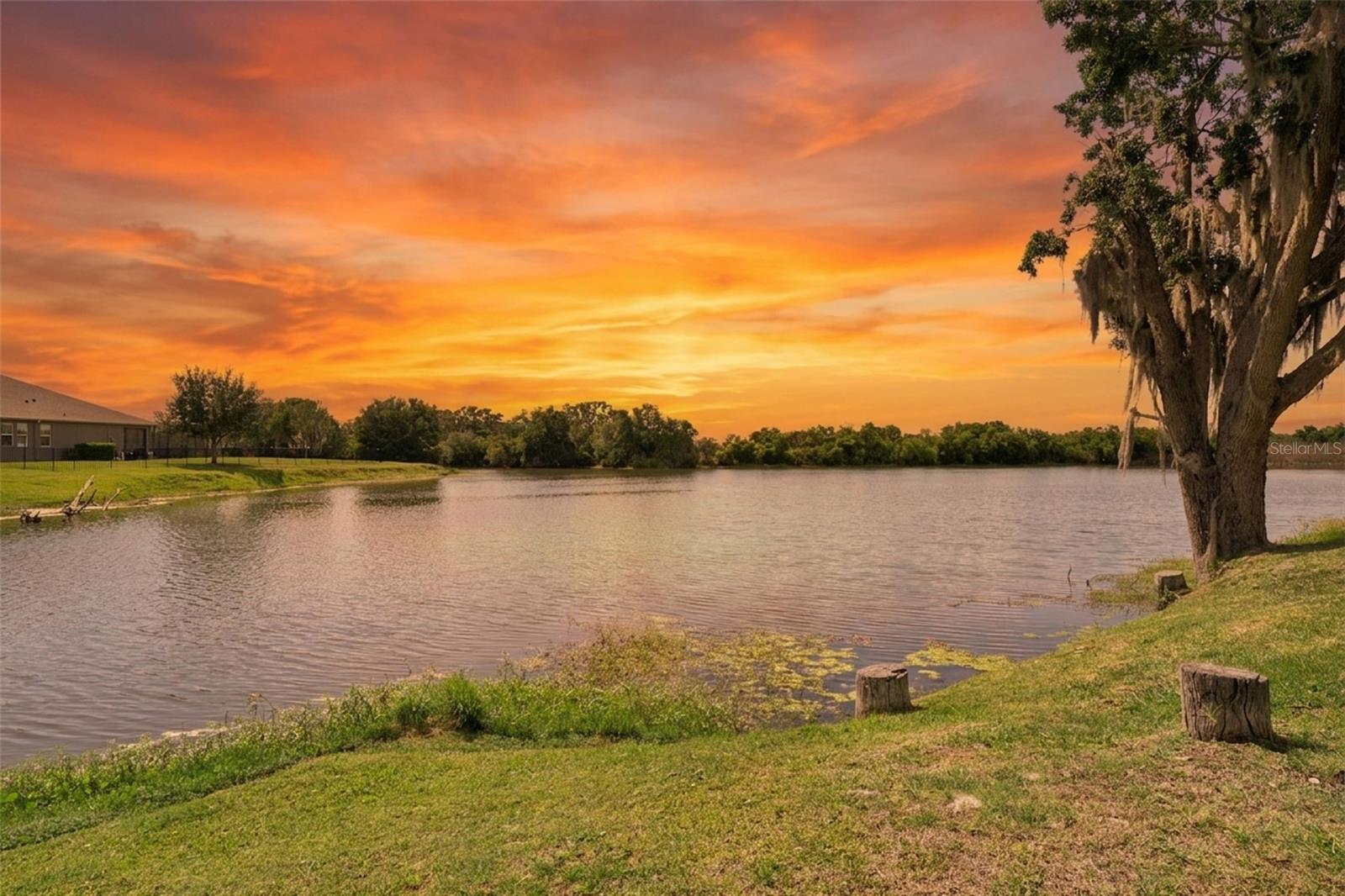 15196 LAKE CLAIRE OVERLOOK DRIVE