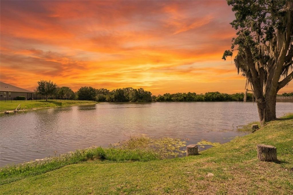Photo of 15196 Lake Claire Overlook Drive, Winter Garden, FL 34787 (MLS # O6397637)