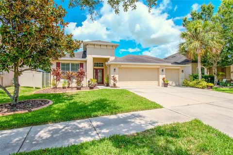 A home in LITHIA