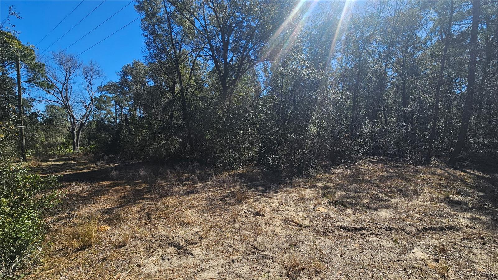 BLUE LAKE RIDGE - Residential