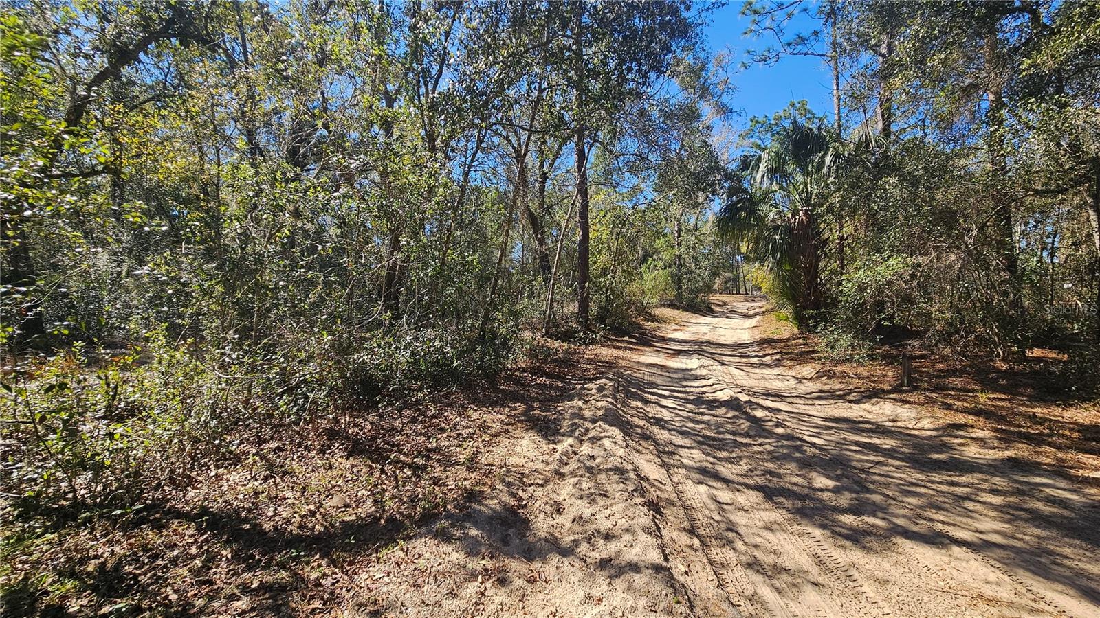 BLUE LAKE RIDGE - Residential