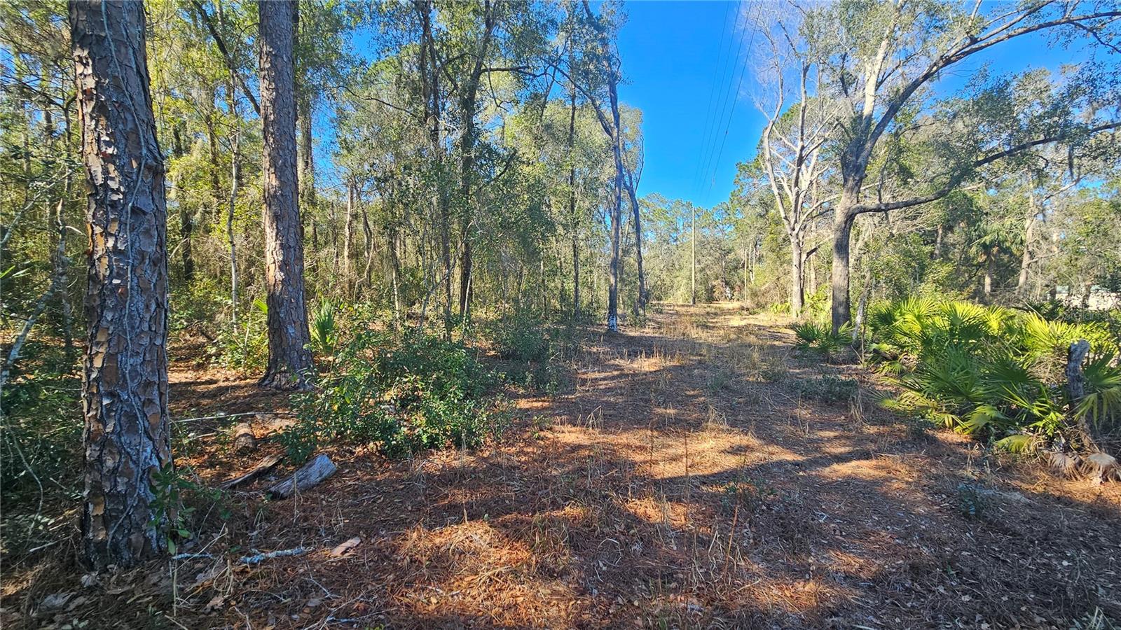 BLUE LAKE RIDGE - Residential