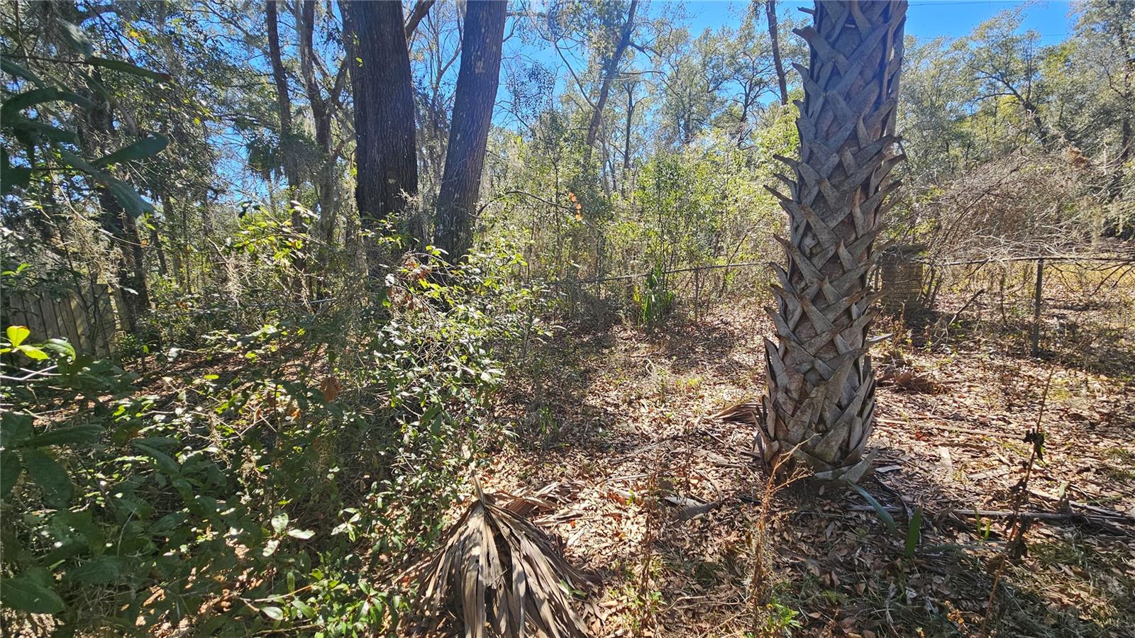 BLUE LAKE RIDGE - Residential