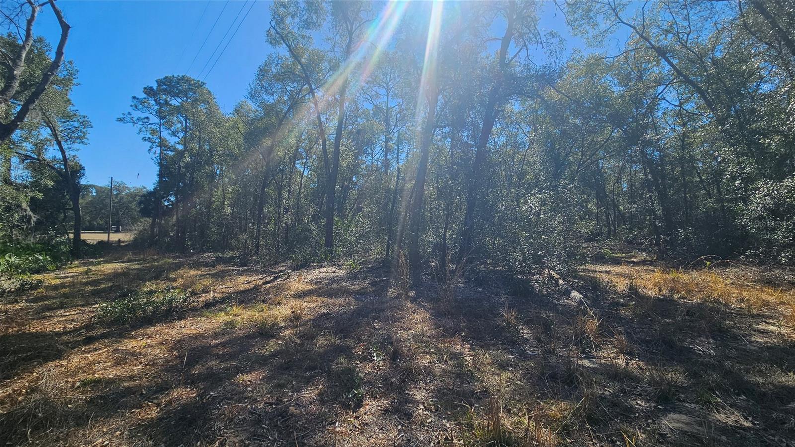 BLUE LAKE RIDGE - Residential