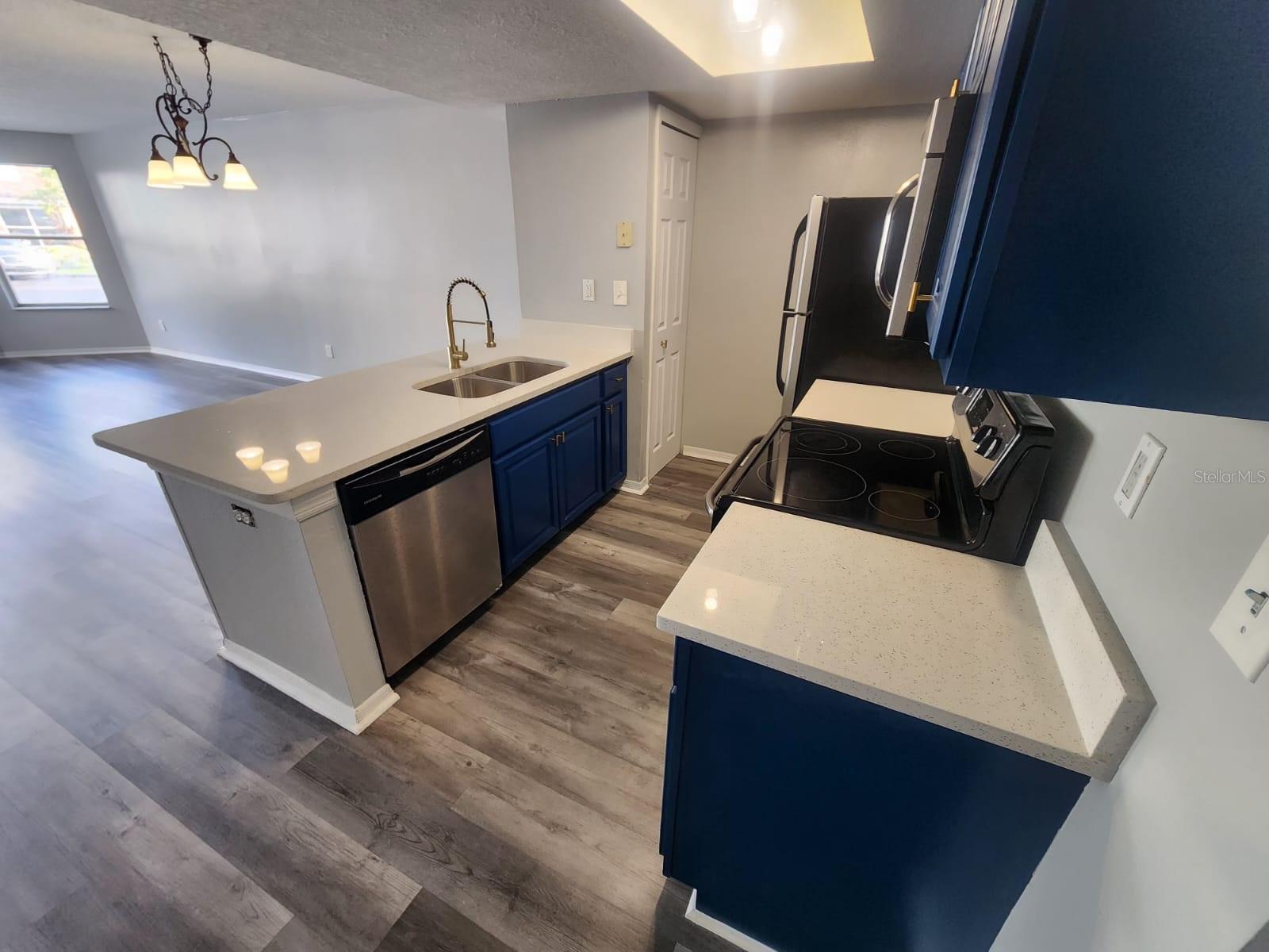 THE VILLAS AT SOMERSET - Residential