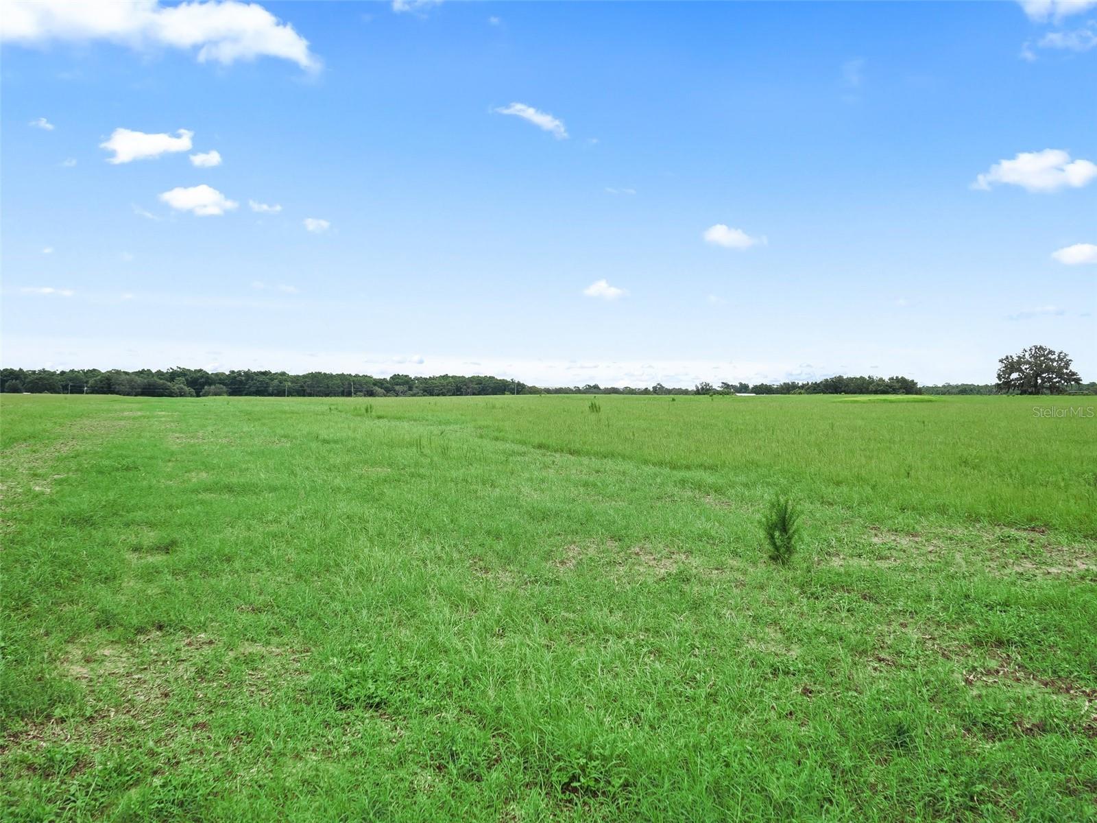 CR 635