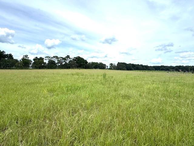 10+ Beautiful High and Dry Acres – Ready to Build! This stunning 10-plus-acre parcel, currently a hay field, offers a rare opportunity to create your ideal homestead, country retreat, or small farm. With high and dry land, there is ample space to build your dream home, cultivate a garden, or raise animals—all within a peaceful, natural setting. Enjoy the tranquility of the countryside while being just minutes away from the city of Bushnell, Withlacoochee State Forest, and a variety of outdoor recreational activities. In addition to the serene surroundings, you are conveniently located near major roadways and essential amenities, striking the perfect balance between seclusion and accessibility. Looking for more space? Additional surrounding acreage is available, giving you the chance to expand your vision and truly make this land your own. Whether you plan to build, farm, or invest, this property is full of potential.