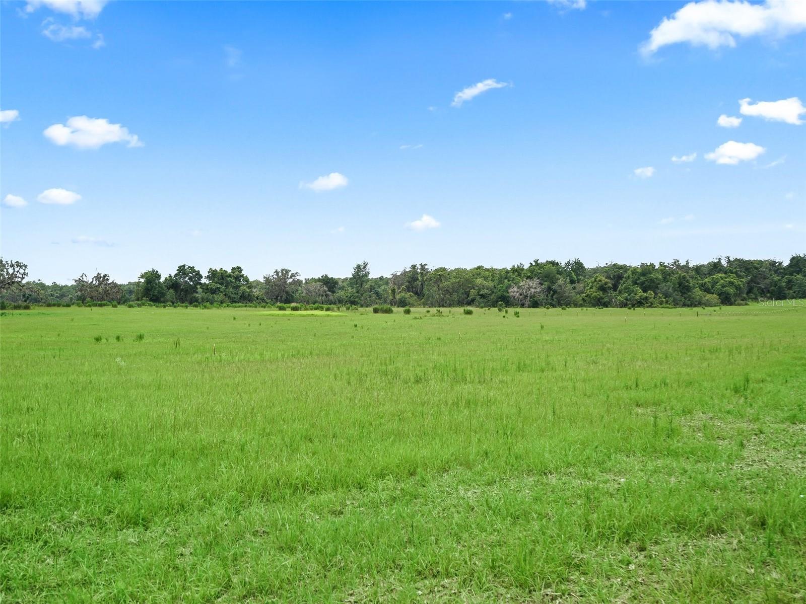 CR 635