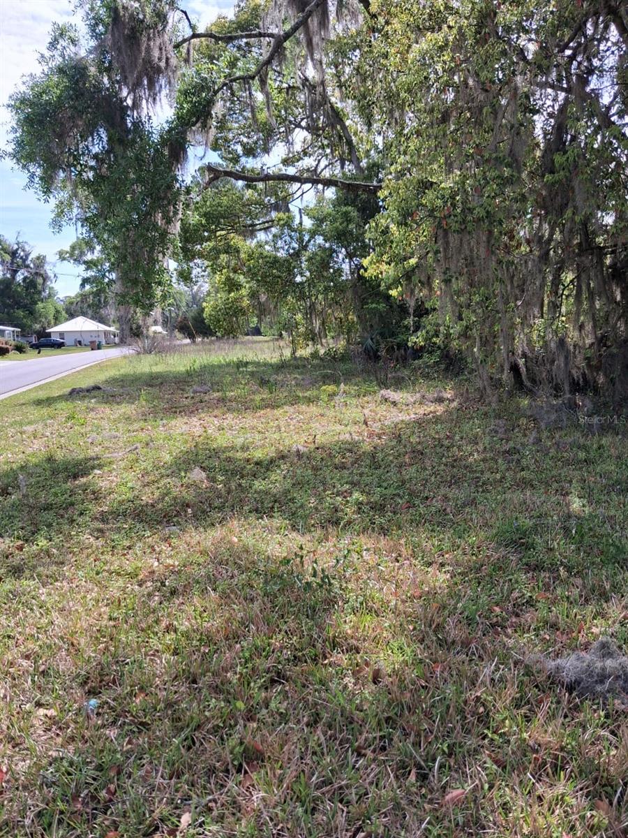 TOM PAGE SURVEY - Land