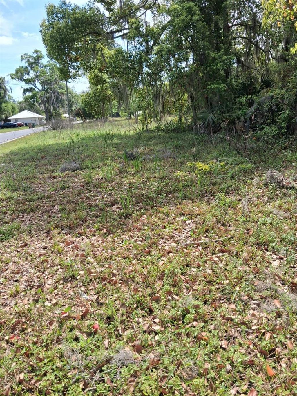 Photo of 552 NE Gurley Avenue, Lake City, FL 32055 (MLS # GC539604)