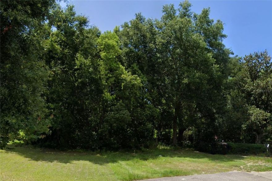 Don’t miss this opportunity to own a 4,012 sq. ft. vacant lot in an established neighborhood! This irregularly shaped parcel offers approximately 42 feet of frontage (as planned per parcel maps) and is conveniently located near existing homes, providing a great setting for future possibilities. There are no utilities currently at the parcel. 

The road currently ends just before the property, and buyers are encouraged to verify all measurements, zoning, and land use with the Orange County Property Appraiser and local authorities.  All information is deemed reliable but not guaranteed. Buyers should conduct their own due diligence to confirm all details. Don’t miss out—explore the possibilities today!