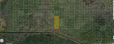 HOLOPAW GROVES ROAD ST CLOUD FL 34772